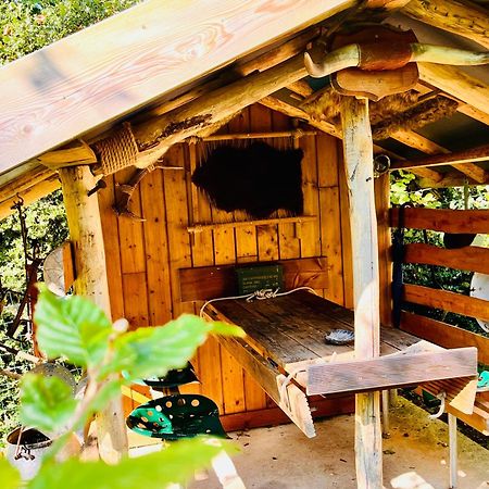 La Cabane Perchee Du Trappeur Écrainville Zewnętrze zdjęcie