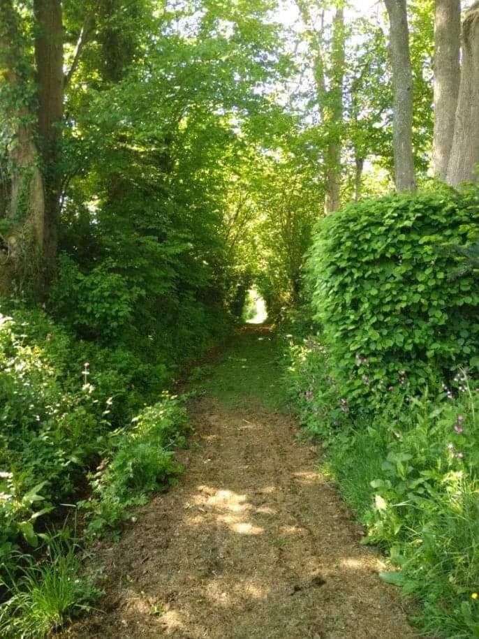 La Cabane Perchee Du Trappeur Écrainville Zewnętrze zdjęcie