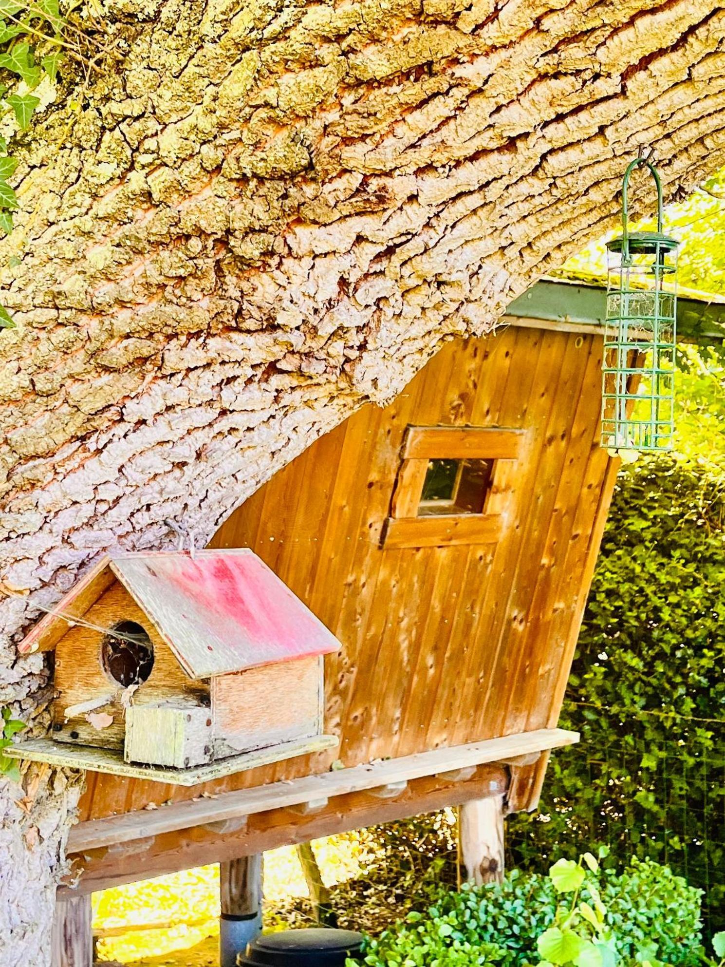 La Cabane Perchee Du Trappeur Écrainville Zewnętrze zdjęcie